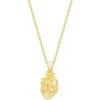 Spero London Women's Sterling Silver Anatomical Heart Necklace in Gold