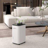 HOMCOM 20L/Day 6L Portable Dehumidifier with 24H Timer, Auto Defog in White