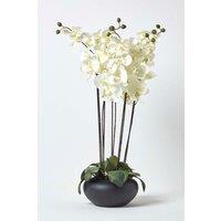 Homescapes Luxury Artificial Orchid in Black Bowl, 79 cm, Cream