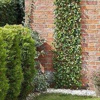 Marco Paul 1.8m Artificial Flower Wall Trellis - Lemon Leaf in Bottle Green
