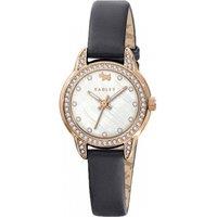 Radley Women's RY21826 26mm Quartz Watch in Blue