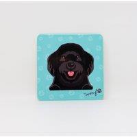 Mulberry Studios Pet Coaster - Dog - Black Cockapoo in Blue