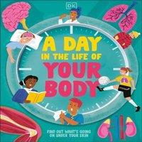 DK A Day in the Life of Your Body : Find Out What's Going on Under