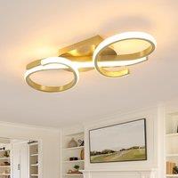 Pheashine Modern Gold LED Ceiling Light, 36W Nordic Aluminum Flush Mount, 42cm