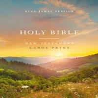 Thomas Nelson KJV Large Print Outreach New Testament Bible, Scenic Softcover