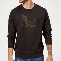 Harry Potter Hedwig Broom Gold Sweatshirt - Black | Size: Small