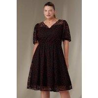 Jolie Moi Women's Flare Sleeved Lace Midi Dress | Size: 18