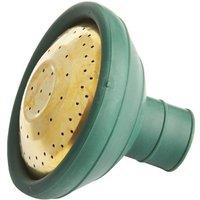 Ward Rubber Rose in Green