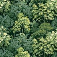 World of Wallpaper Folklore Forest Textured Wallpaper in Green