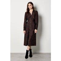 Apricot Women's Animal Print Ruched Shirt Midi Dress in Brown | Size: 8