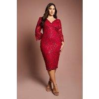 Coast Women's Plus Size Sequin Bodycon Midi Dress in Red | Size: 22