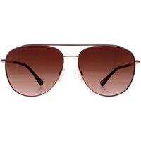 Ted Baker Women's Aviator Demi Gold Brown Gradient Sunglasses