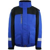 Dickies Men's Winter Work Waterproof Royal/Black Coat in Blue | Size: Large