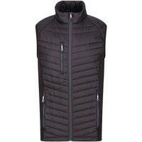 Regatta Professional Men's Quilted Hybrid Gilet in Dark Navy | Size: 4XL