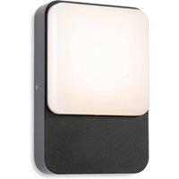 Netlighting Hero LED Wall Light Graphite with White Polycarbonate Diffuser IP54 in Grey