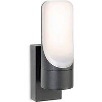 Netlighting Eve LED Wall Light Graphite with Opal Diffuser IP54 in Grey