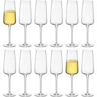 Bormioli Rocco Nexo Glass Champagne Flutes - 240ml - Pack of 12 in Clear