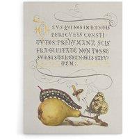 Artery8 Caterpillar Pear & Butterfly Calligraphy Canvas Wall Art Print in White | Size: W24 x H32