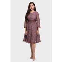 LBV Fashion Women's Grace Lace Flare Dress in Mauve | Size: 10