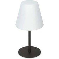Netlighting Arcadia Outdoor Pedestal Light Anthracite Grey IP44