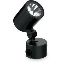Netlighting OZone Small LED Outdoor Display Light Black 3000K IP66