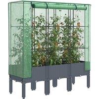 Berkfield Home Raised Bed with Greenhouse Cover Rattan Look 120x40x140 cm in Black | Size: 120 x 40 x 140 cm