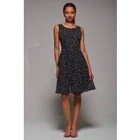 Jolie Moi Women's Printed Fit & Flare Dress in Black | Size: 8