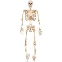 VFM e-Store Halloween Skeleton Decoration LED Eyes Trick or Treat Party 36 Inch in White