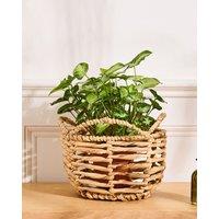 Dibor Vintage Water Hyacinth Medium Open Weave Wicker Scalloped Planter Basket (Dia) 18cm, (H)25cm in Natural