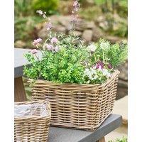 Dibor Traditional XL Wicker Square Lined Planter Basket in Grey