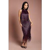 Coast Women's Petite Fringe Embellished Midi Skirt in Plum | Size: 6
