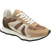 Ravel Women's 'Innes' Leather Lace-Up Trainers in Beige | Size: 6