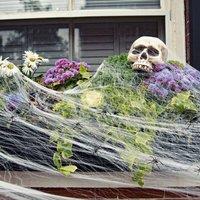 Kraft & Co Halloween Spider Web Decoration, 30pcs Fake Spiders, Super Stretch