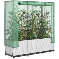 Berkfield Home Raised Bed with Greenhouse Cover Rattan Look 120x40x138 cm in White | Size: 120 x 40 x 138 cm