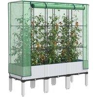 Berkfield Home Raised Bed with Greenhouse Cover Rattan Look 120x40x140 cm in White | Size: 120 x 40 x 140 cm