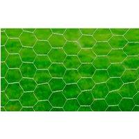 Berkfield Home Modern Chicken Wire Fence Galvanised Steel 25x0.5 m Silver