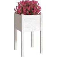 Berkfield Home Garden Planters 2 pcs White 40x40x70 cm Solid Pinewood | Size: 40 x 40 x 70 cm