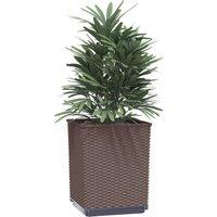 Berkfield Home Planters 2 pcs Brown 30x30x37 cm Polypropylene | Size: 30 x 30 x 37 cm