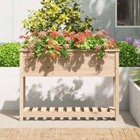 Berkfield Home Planter with Shelf 111.5x34.5x81 cm Solid Wood Pine in Light Tan