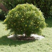 Berkfield Home Plastic Planter White Plastic Large Plastic Planter Round