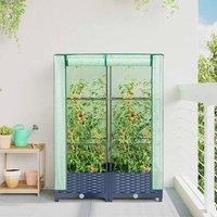 Berkfield Home Raised Bed with Greenhouse Cover Rattan Look 80x40x123 cm in Dark Grey | Size: 80 x 40 x 123 cm