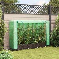 Berkfield Home Raised Bed with Greenhouse Cover Rattan Look 160x40x123 cm in Brown | Size: 160 x 40 x 123 cm