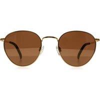 Serengeti Round Shiny Bold Gold Mineral Polarized Drivers Gold Photochromic Hamel