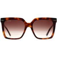 CALVIN KLEIN Women's Square Brown Havana Brown Gradient CK22534S