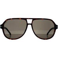 Hugo Boss Men's Aviator Dark Havana Grey BOSS 1507/S in Brown