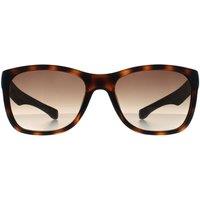 Lacoste Men's Rectangle Havana Brown Gradient L662S