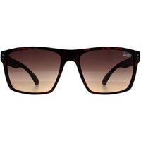 Superdry Men's Square Havana Brown Kobe