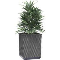 Berkfield Home Planters 4 pcs Black 30x30x37 cm Polypropylene | Size: 30 x 30 x 37 cm