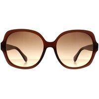 CALVIN KLEIN Women's Cat Eye Crystal Brown Brown Gradient CK19538S