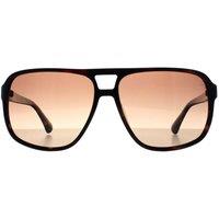 Timberland Men's Aviator Dark Havana Brown Polarized TB00031